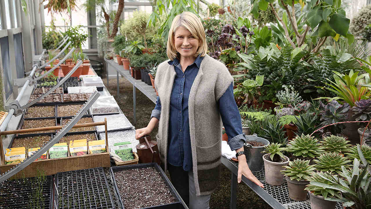 ask_martha_vegetable_garden_basics_1_horiz-1527795376367.jpg