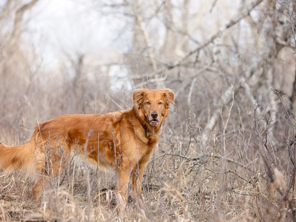 Adventurers Share Their Scariest Experiences Lost In The Wild