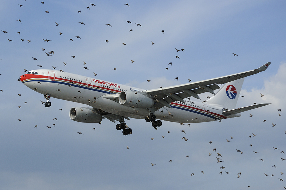 Travelers Share The Times Airline Travel Went Horribly Wrong