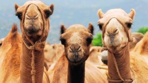 Debunked Theories People Around The World Need To Stop Believing