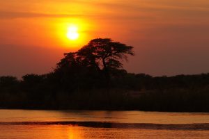 africa-290434-300x200.jpg