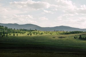 deglee-degi-400518-unsplash-300x200.jpg