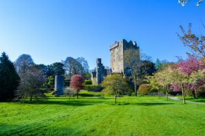 castle-801598-300x199.jpg