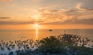 sunset-4010504-300x179.jpg