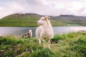 direct flights to the Faroe Islands
