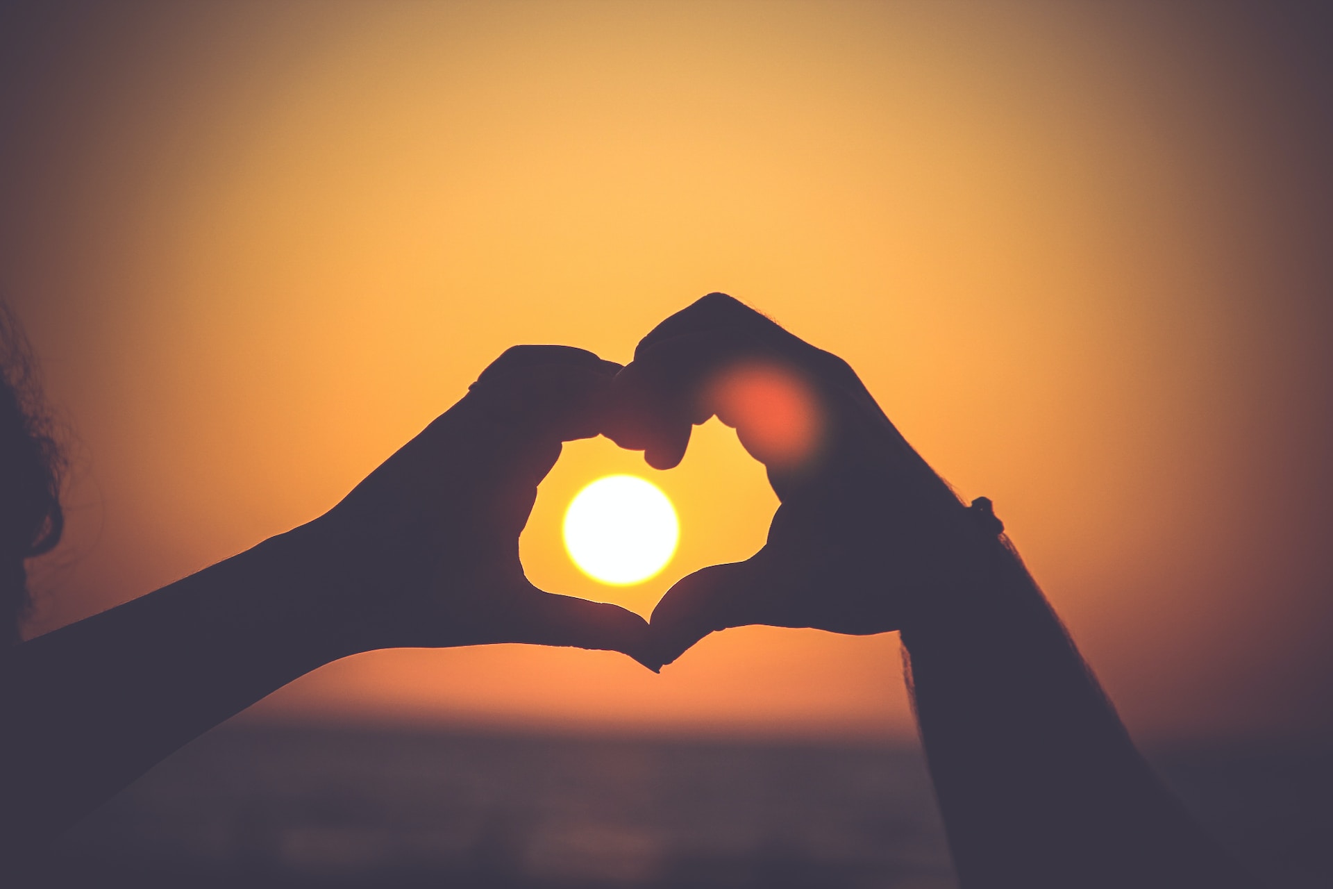 Mayur-Gala-2Podhmrvlik-Unsplash