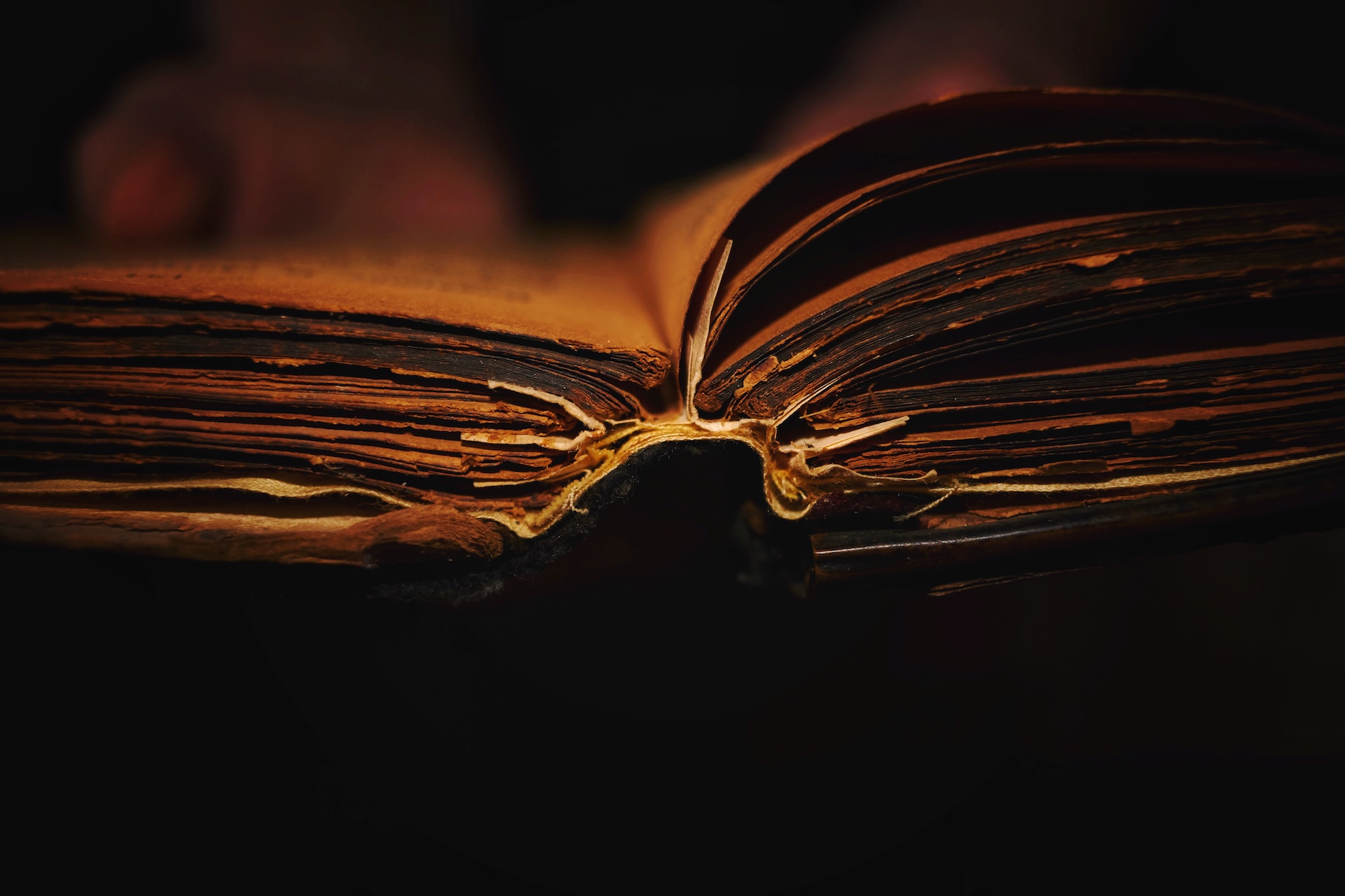 Sergiu-Valena- Drvb C 72Y-Unsplash