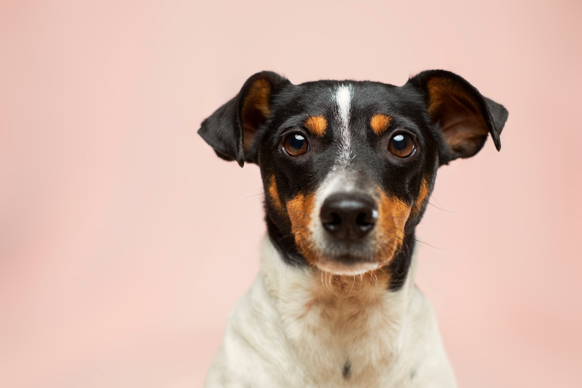 Victor-Grabarczyk-N04Fifhhv K-Unsplash