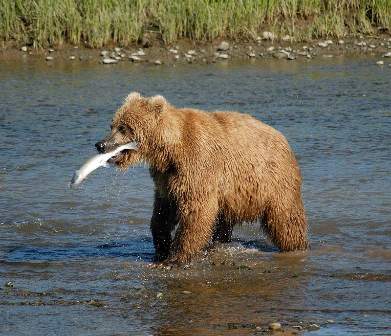 The Strangest Rules and Laws From Around The World