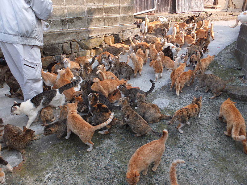 Bizarre Locations To Add To Your Bucket List
