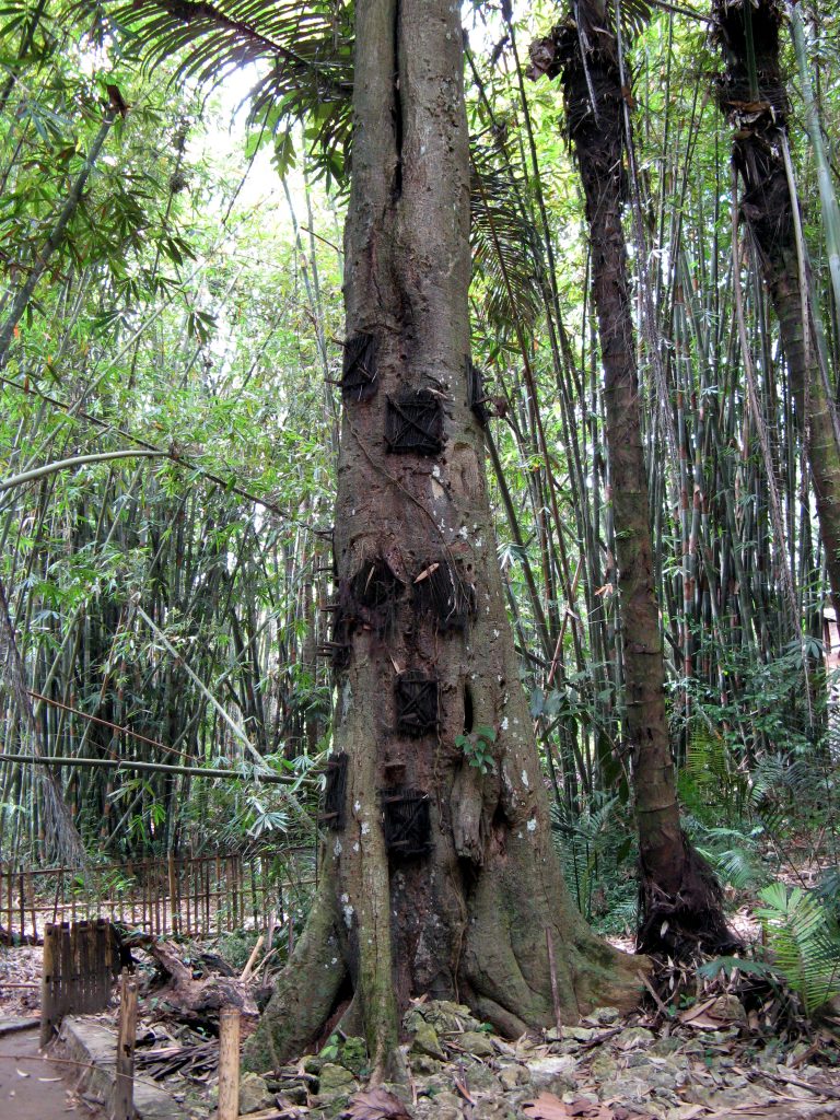 Bizarre Burial Customs From Around The World