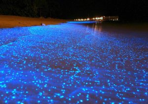 Bizarre Locations To Add To Your Bucket List