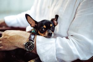 People Share Weird Items Discovered By Airport Security