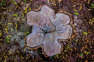 Hikers And Campers Share Their Strange Encounters In The Wild