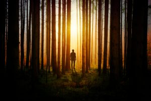 Hikers And Campers Share Their Strange Encounters In The Wild