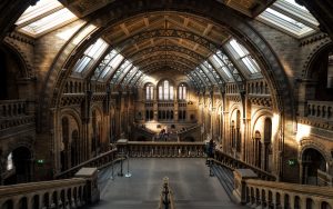 Famous Tourist Destinations That Actually Lived Up To The Hype