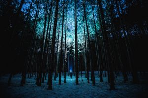 Hikers And Campers Share Their Strange Encounters In The Wild