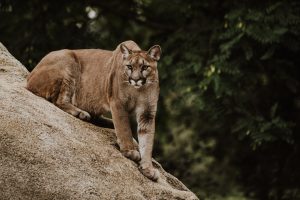 Hikers And Campers Share Their Strange Encounters In The Wild