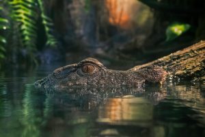 Hikers And Campers Share Their Strange Encounters In The Wild