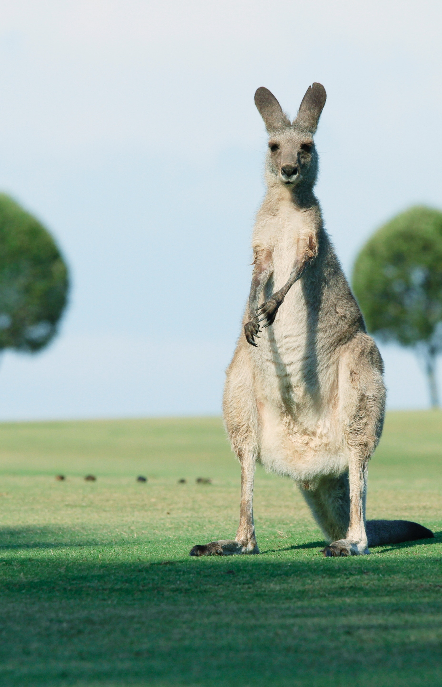 Locals Share Their Most Ridiculous 'Stupid Tourists' Moments