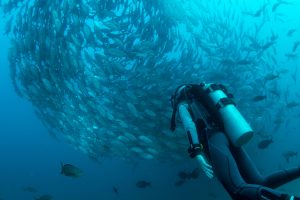 The Best Careers For People Who Love To Travel