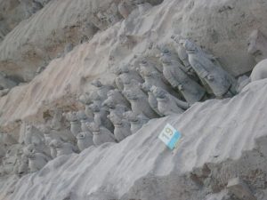 Forbidden Places Around The World That You Probably Won’t Ever Get To See