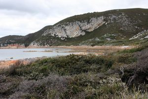 A Beginner's Guide To Traveling Tasmania
