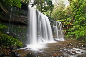 A Beginner's Guide To Traveling Tasmania