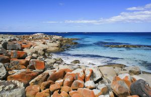 A Beginner's Guide To Traveling Tasmania