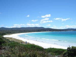 A Beginner's Guide To Traveling Tasmania