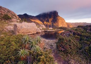 A Beginner's Guide To Traveling Tasmania