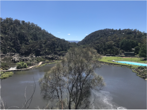 A Beginner's Guide To Traveling Tasmania