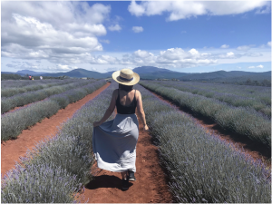 A Beginner's Guide To Traveling Tasmania