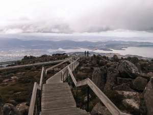A Beginner's Guide To Traveling Tasmania