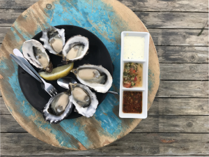 A Beginner's Guide To Traveling Tasmania