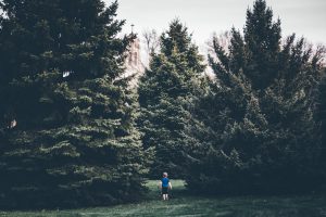 People Share The Craziest Unexplained Mysteries From Around The World That Just Don't Add Up