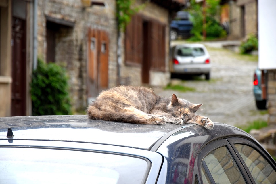 Travelers Share Their Worst Experience Picking Up A Hitchhiker