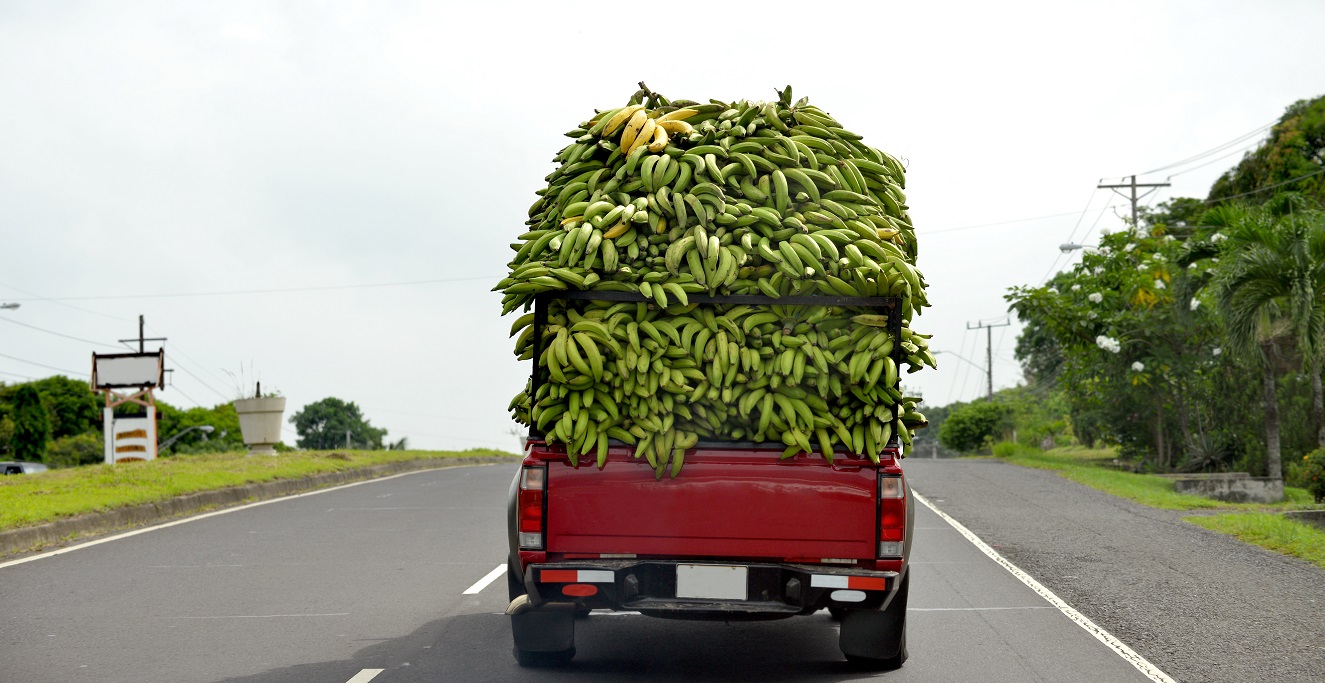 Truckers Share The Most Bizarre Thing They Ever Experienced On The Road