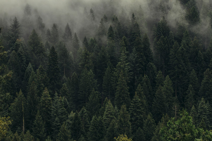 National Park Rangers Share Their Scary Encounters On The Job