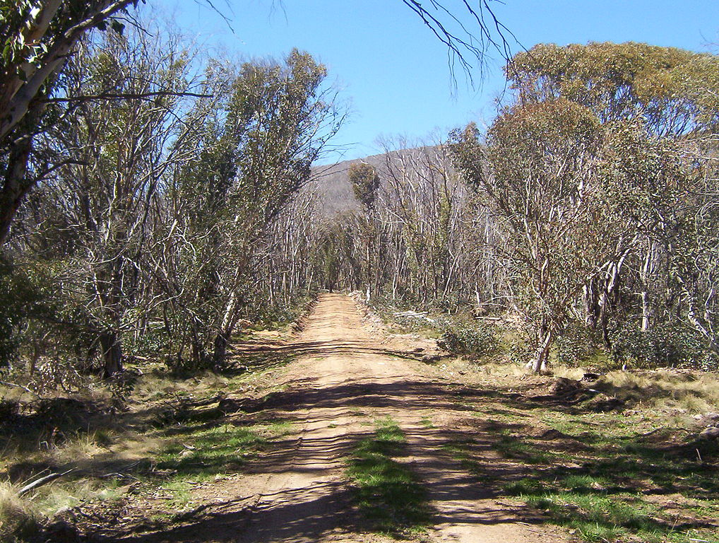 Australians Share The Do's and Don'ts When Visiting The Land Down Under