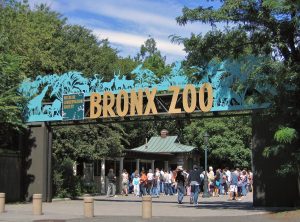 New York City: A Traveler's Guide To The Big Apple's Five Boroughs