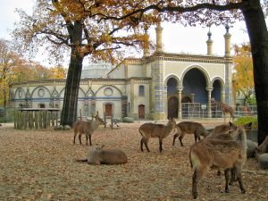 A Backpacker's Guide To Traveling Berlin
