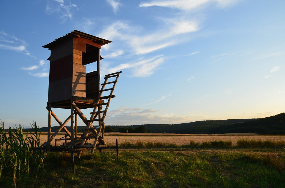 National Park Rangers Share Their Scary Encounters On The Job