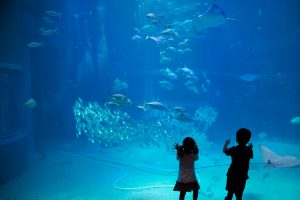 The Best Things To Do When Visiting Osaka