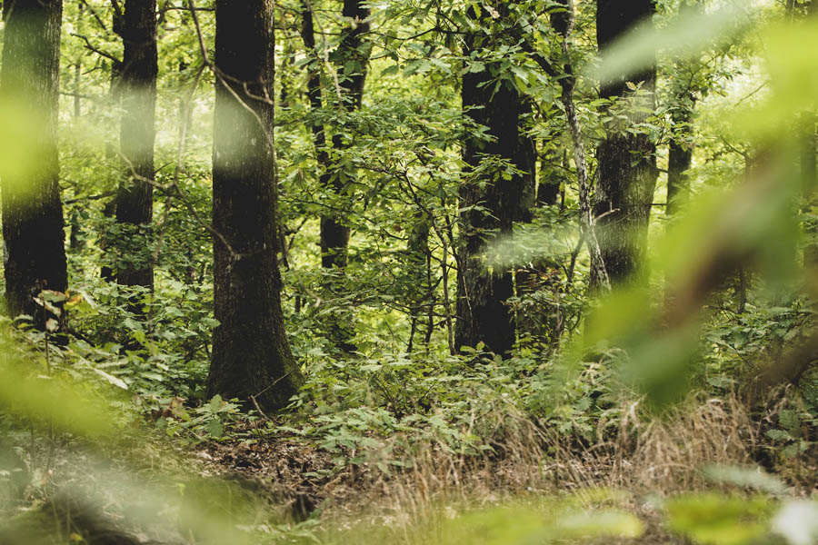 National Park Rangers Share Their Scary Encounters On The Job
