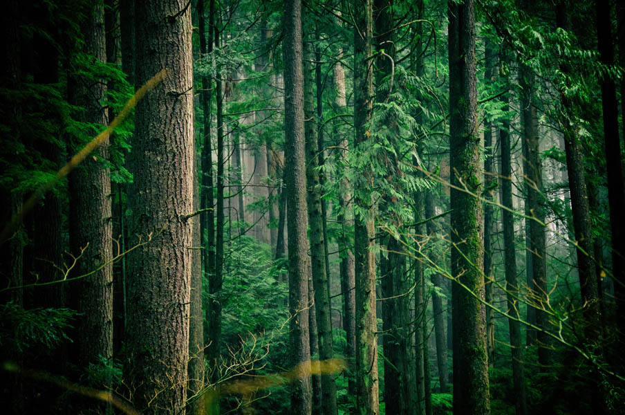 National Park Rangers Share Their Scary Encounters On The Job