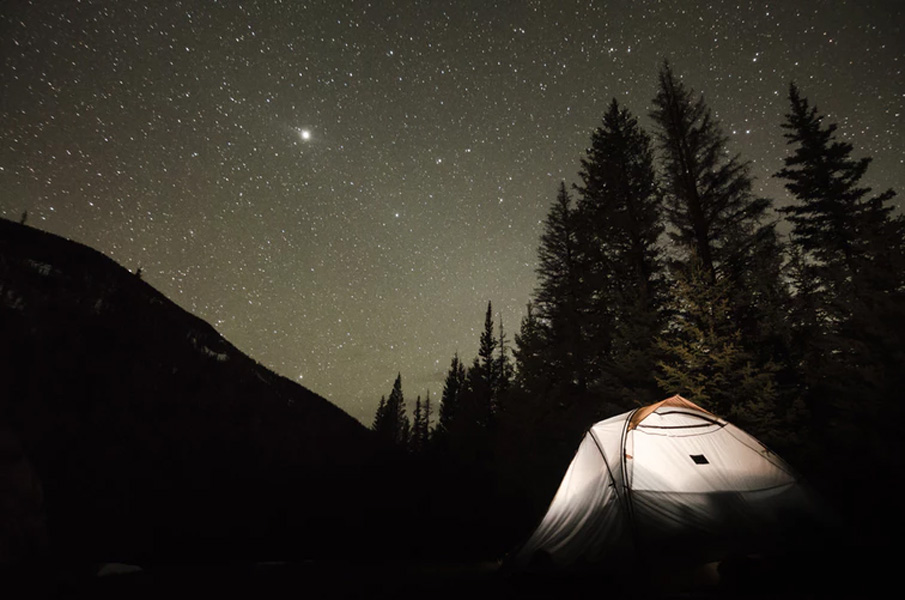 National Park Rangers Share Their Scary Encounters On The Job