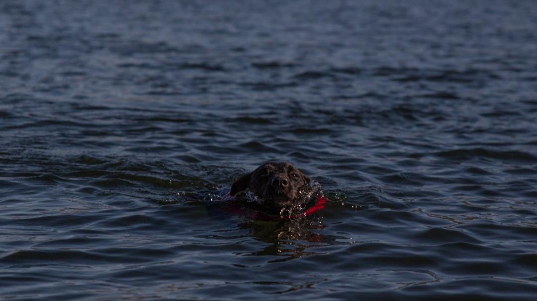 Sailors Share Unexplainable Things They've Seen At Sea