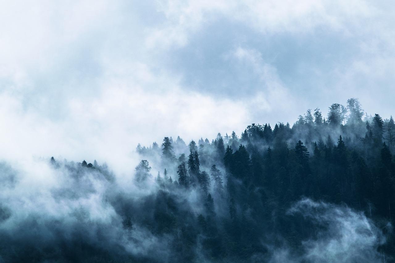 Adventurers Share Their Unexpected Encounters Camping In Nature