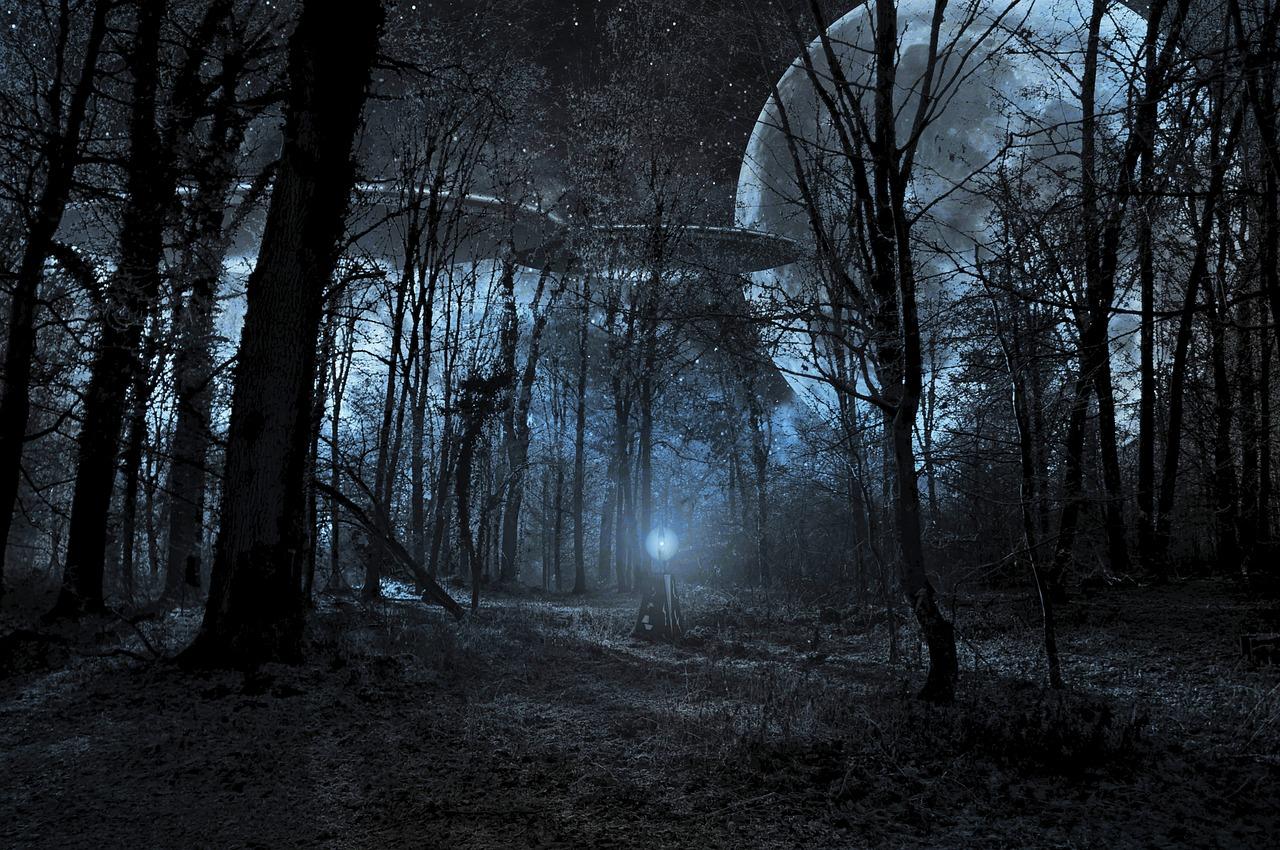 Adventurers Share Their Unexpected Encounters Camping In Nature